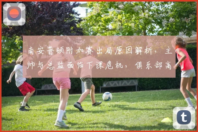 南安普顿附加赛出局原因解析,主帅与总监面临下课危机,俱乐部高层震怒