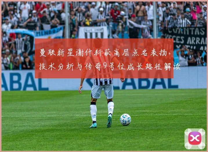 曼联新星谢什科获高层点名表扬,技术分析与传奇9号位成长路径解读